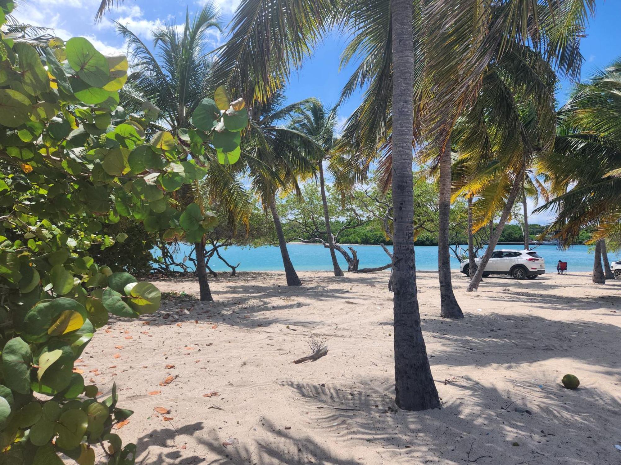 Casita Linda Larimar - 2Br Apartment With Rooftop, Bay Views, Fast Wifi, Near Beach In Barahona Exterior foto